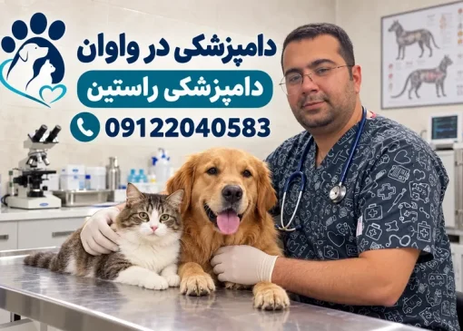دامپزشکی در واوان | محله یار