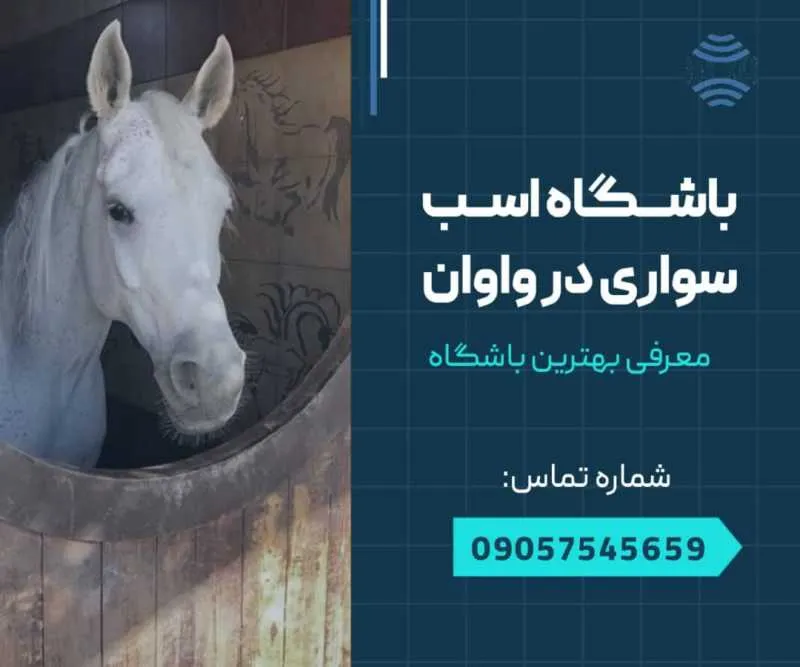 اسب سواری در واوان- محله یار