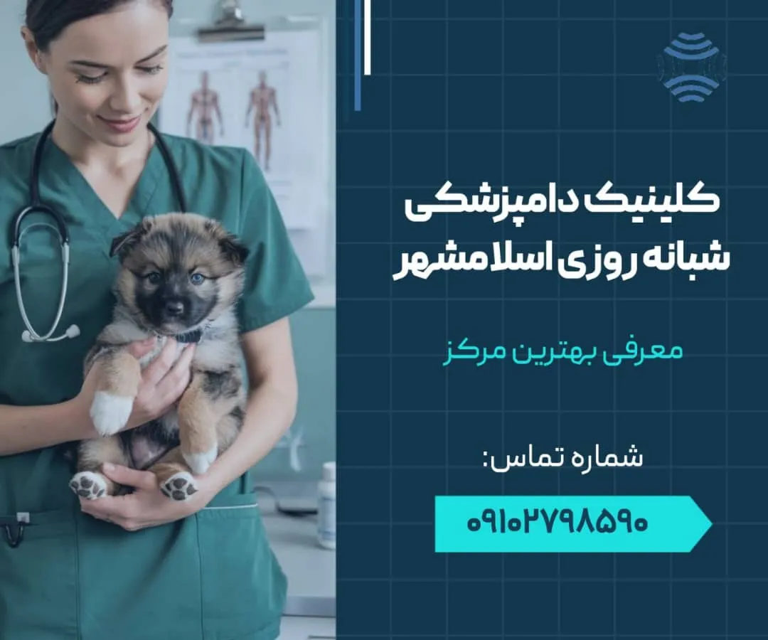 کلینیک دامپزشکی شبانه روزی اسلامشهر - محله یار