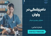 دامپزشکی در واوان- محله یار