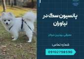 پانسیون سگ در نیاوران- محله یار