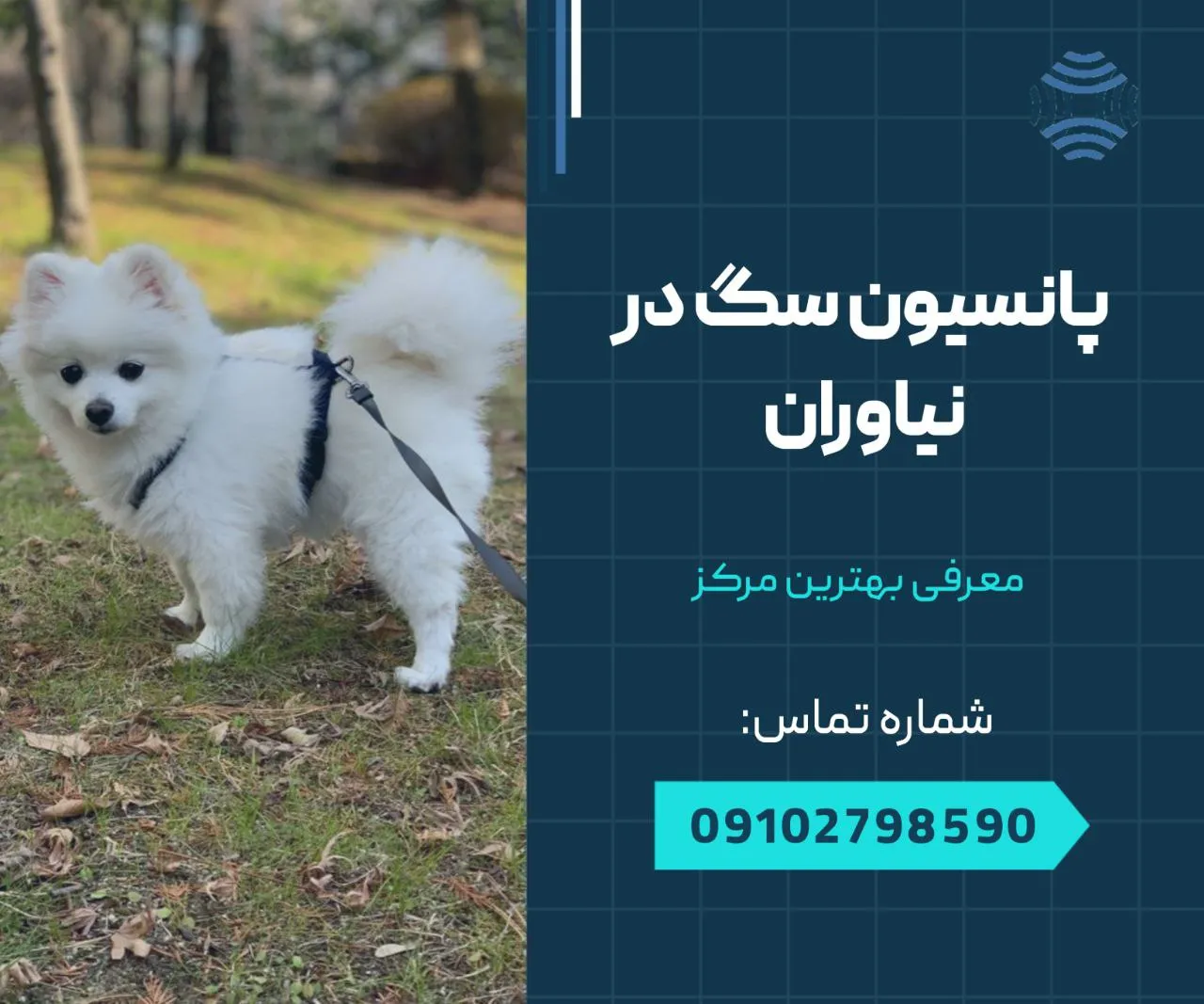 پانسیون سگ در نیاوران 1 پانسیون سگ در نیاوران- محله یار